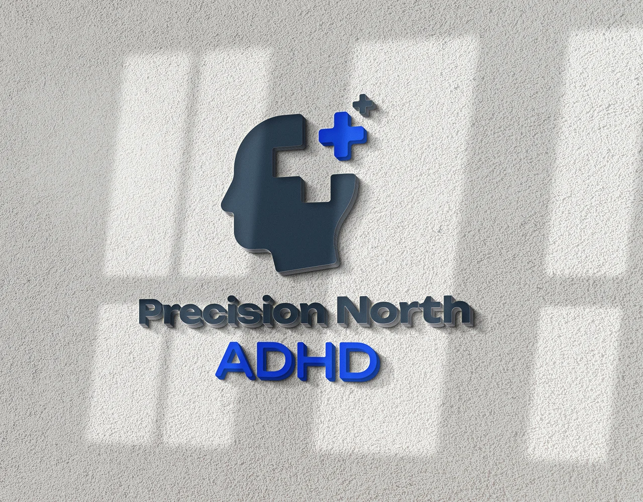 Precision North brand system designed by Yugen Digital