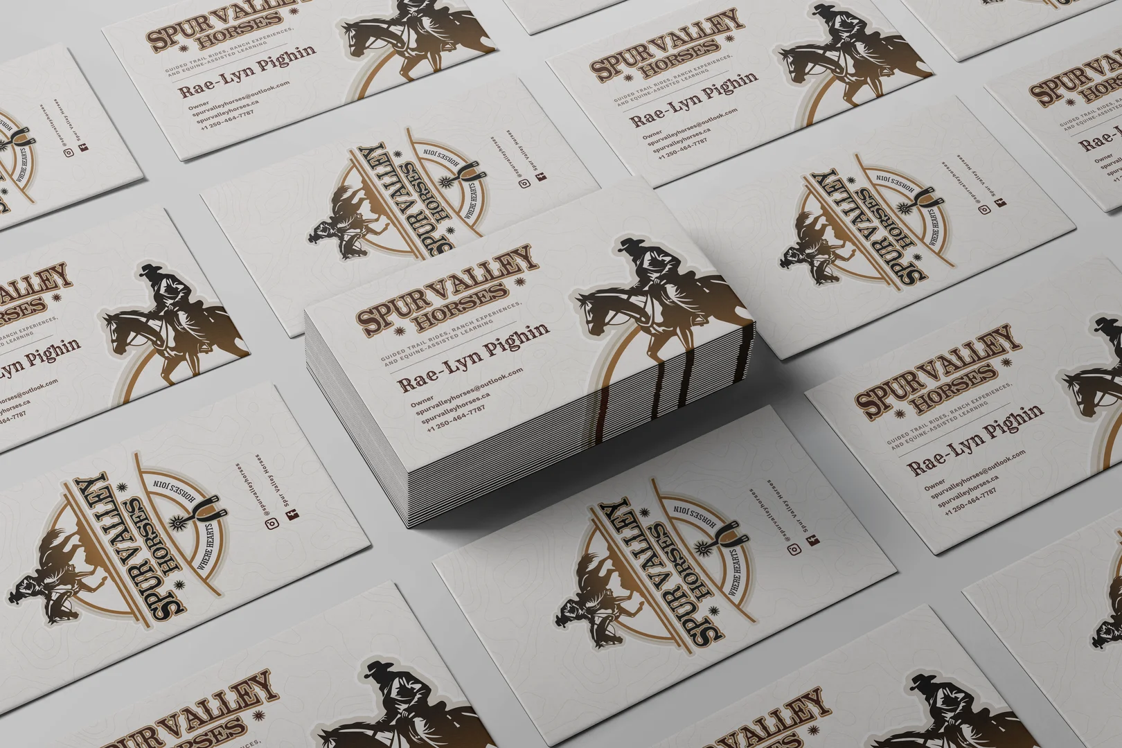 Spur Valley Horses business card and identity design